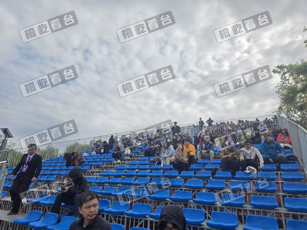 2025GT 世界挑战赛北京亦庄站